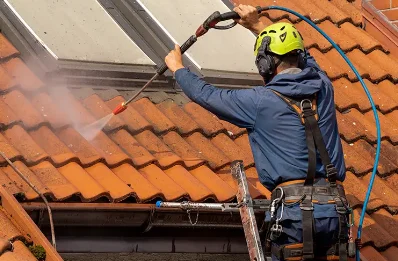Démoussage et hydrofuge de toiture à la Chapelle-du-Mont-de-France